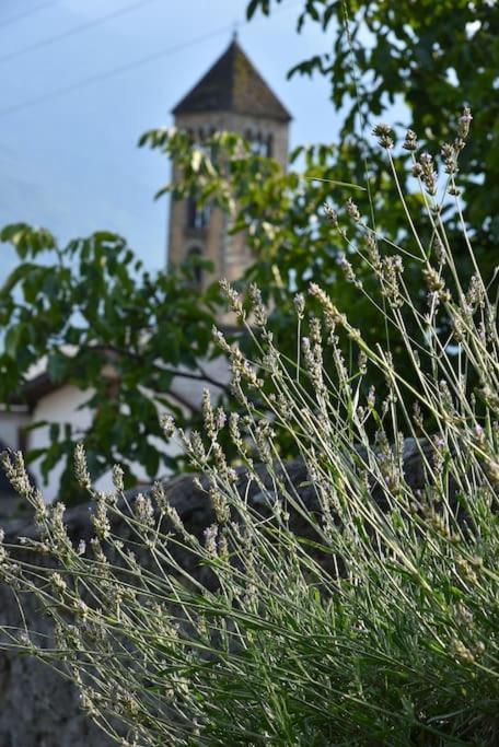 Il Drago Al Roseto Del Drago San Bernardo (Sondrio) Exterior foto