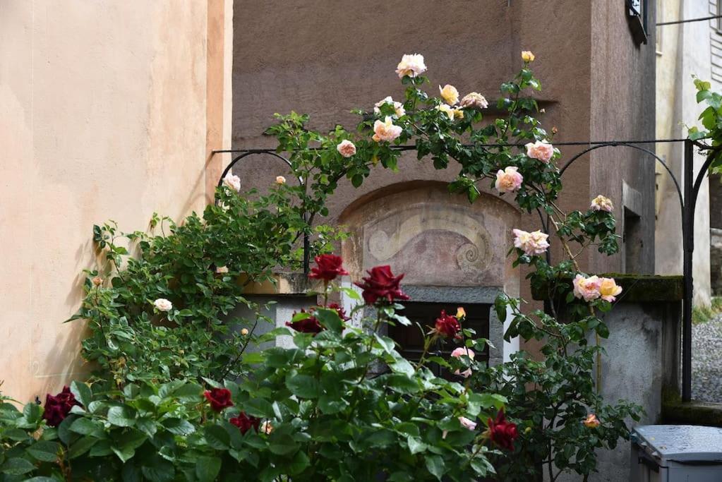 Il Drago Al Roseto Del Drago San Bernardo (Sondrio) Exterior foto